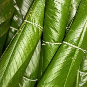Moinmoin Leaf