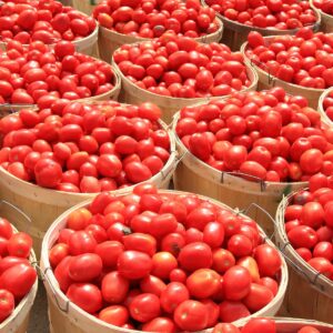 Tomatoes