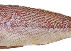 Croaker Fish(headless)
