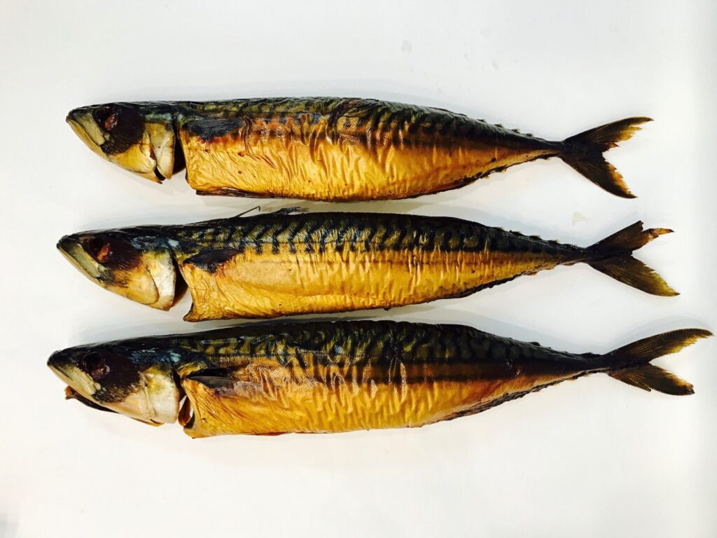 10kg Block frozen Mackerel