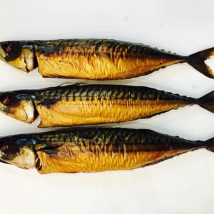 10kg Block frozen Mackerel