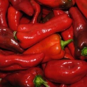 Shepherd pepper