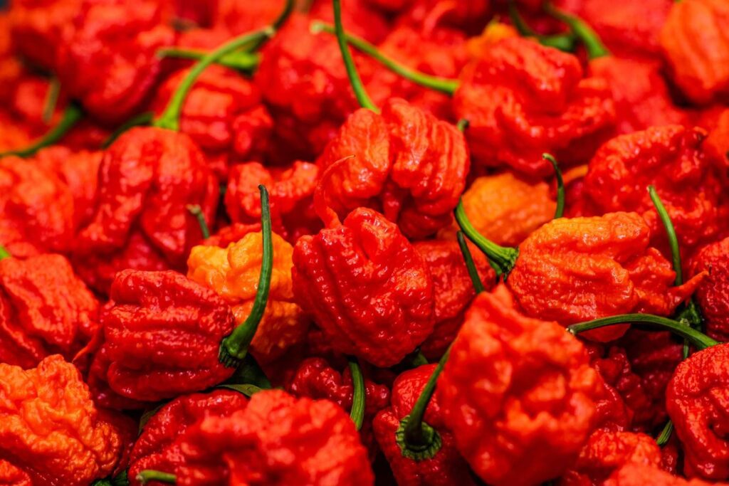 Agoyin Dried Pepper