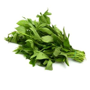 Bitterleaf